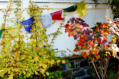 May Peace Prevail on Earth
